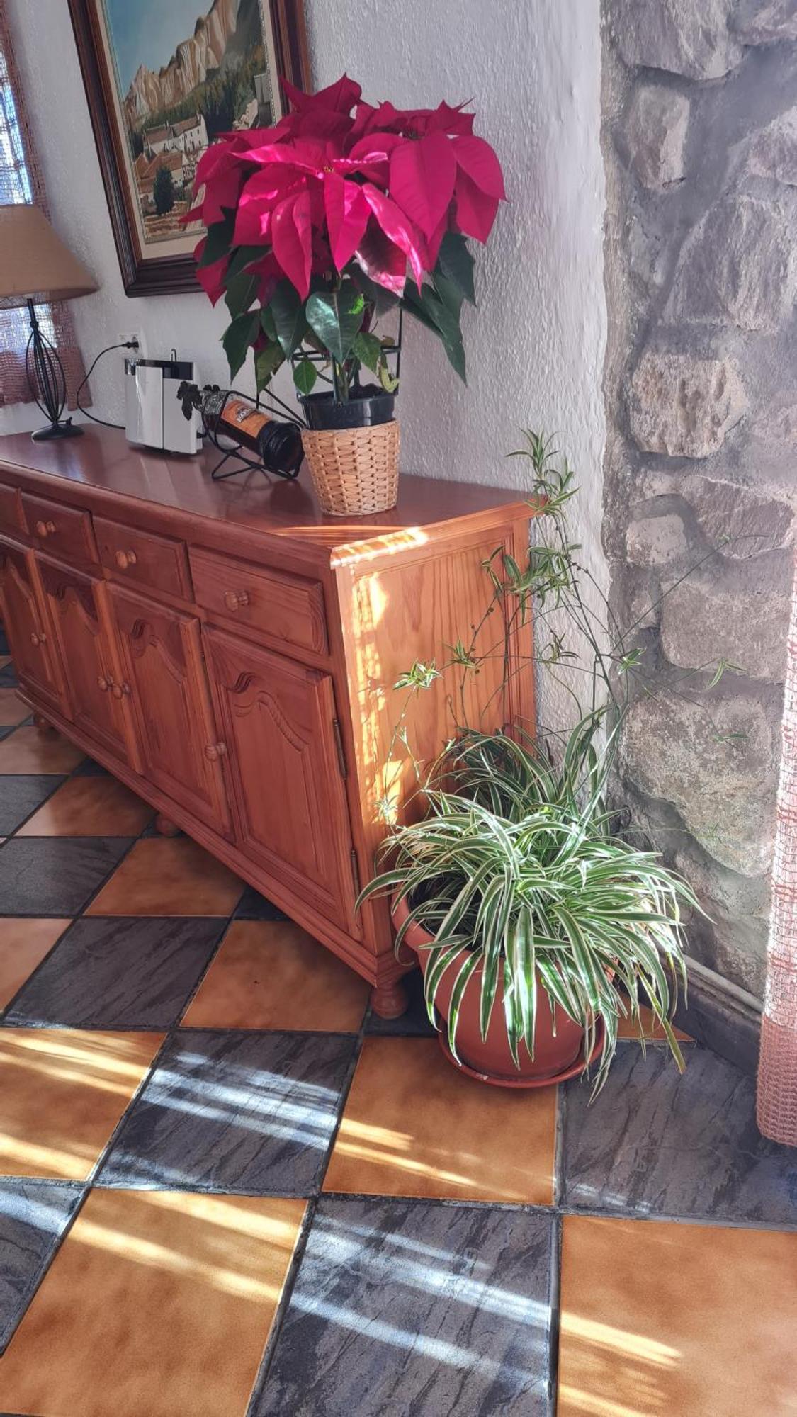 Holiday home El Centenal